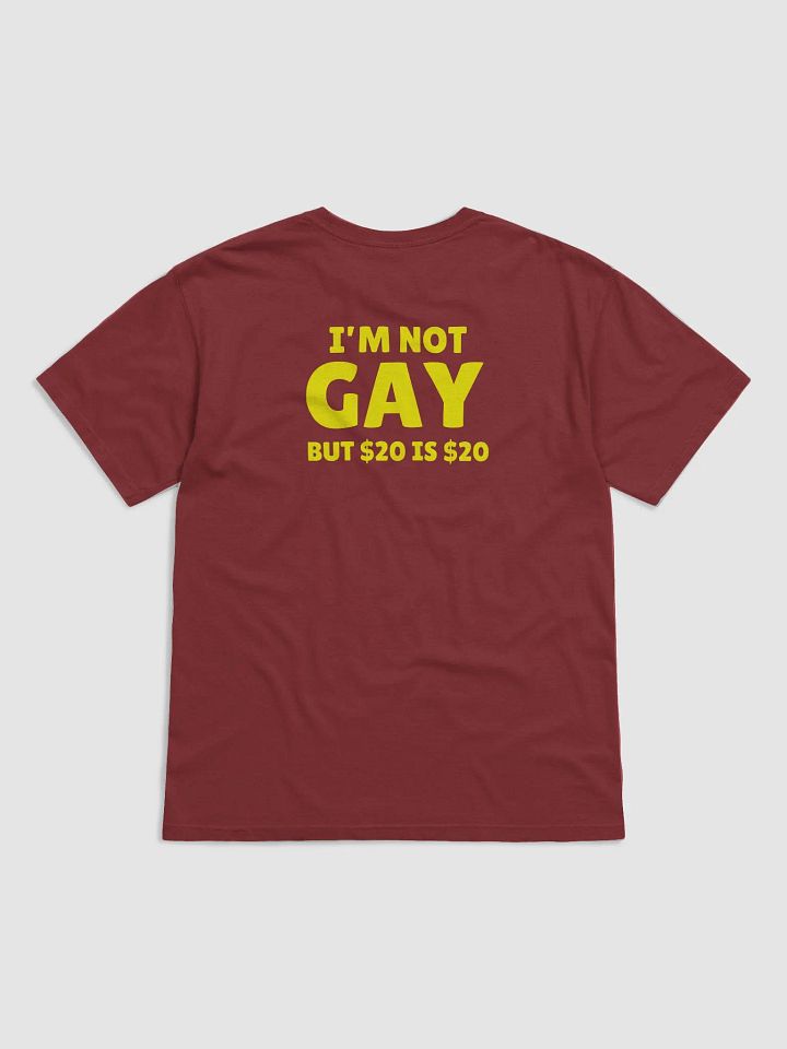 Not Gay But $20 is $20 Back Print Unisex Tee product image (1)