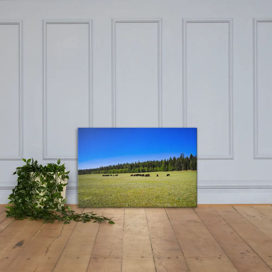 Grand Canyon Buffalo Graze product image (4)