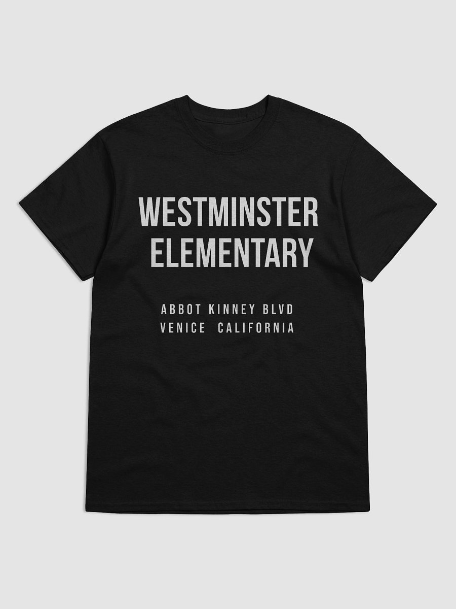 Adult Westminster Abbot Kinney - Heavyweight Tee product image (5)