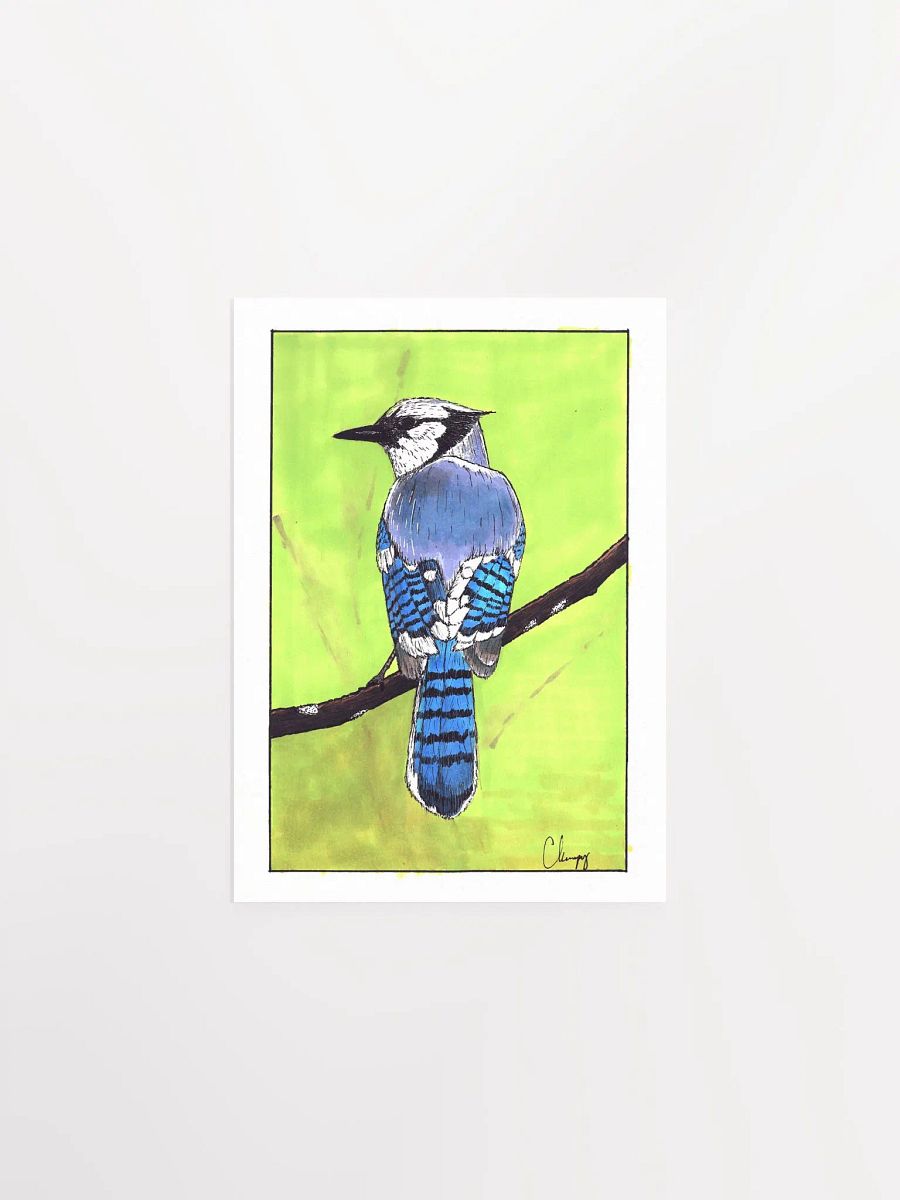 Blue Jay Print product image (1)