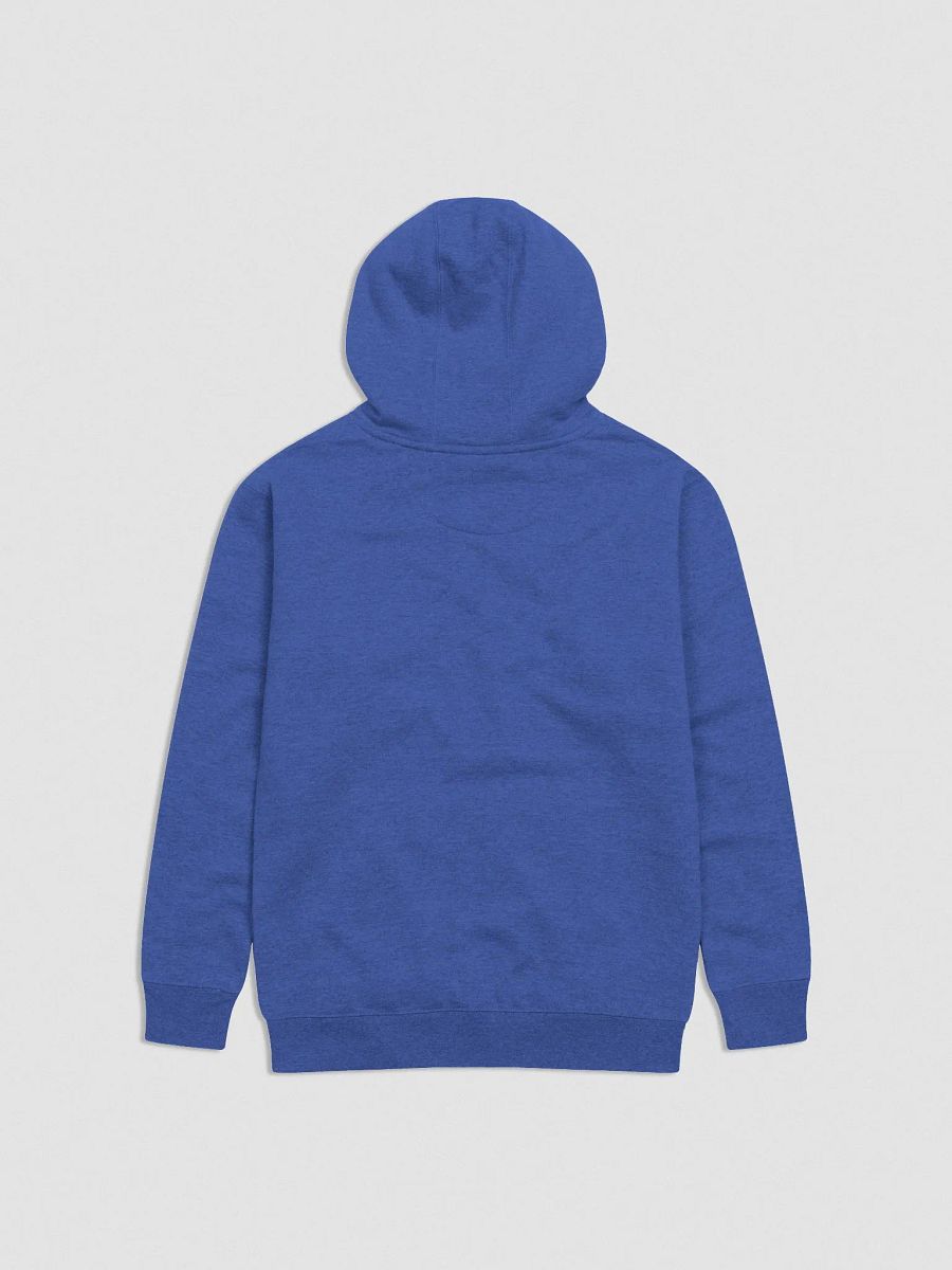 Bubbly and a B*tch (maroon bubble design 2) embroidered heavyweight hoodie product image (43)