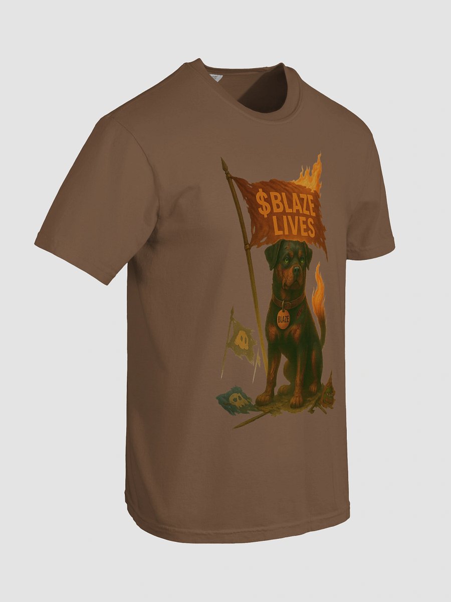Blaze Lives- T-Shirt product image (20)