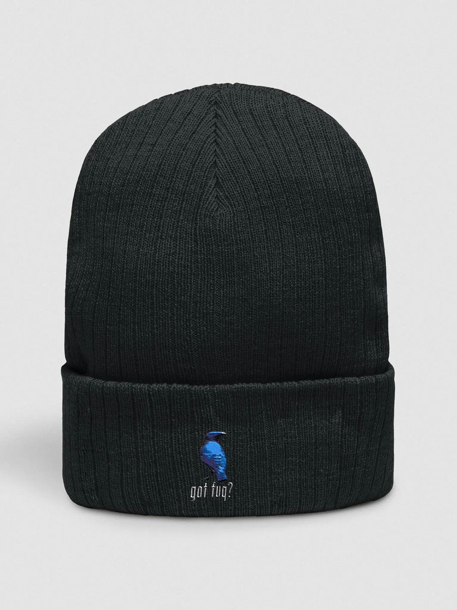 Ron Collection - Embroidered Ribbed Knit Beanie product image (1)
