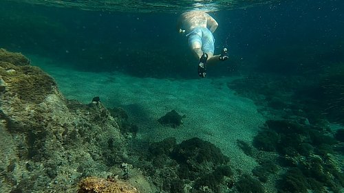 Day of snorkeling 🤿🏊🐠🐡🦈
#snorkelling #snorkeling #snorkelaroundtheworld #snorkeling🐠 #cabodegata #playadecabodegata #s34ntravels