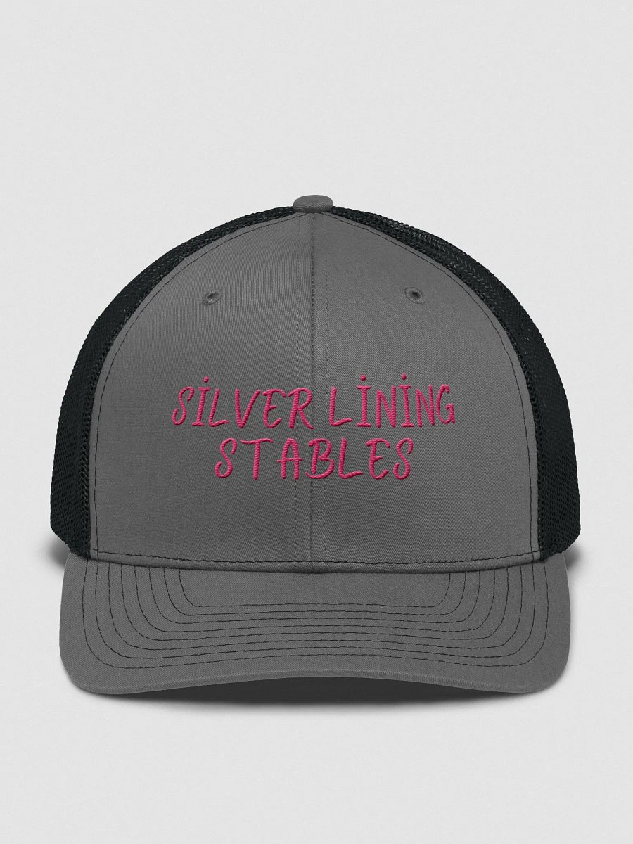 Pink Silver Lining Trucker Snapback product image (1)