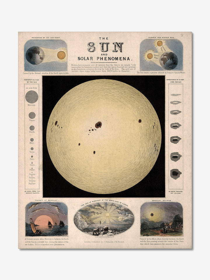 The Sun and Solar Phenomena Poster product image (1)