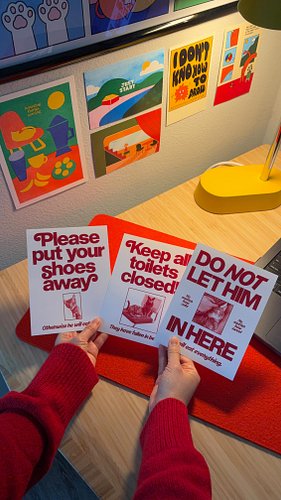 I love my cats and I 💙 the font Rotina from @sharp_type and @nuformtype