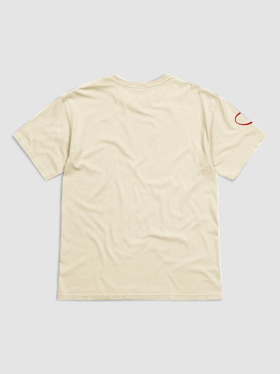 Just your friendly neighborhood sex coach t-shirt product image (4)