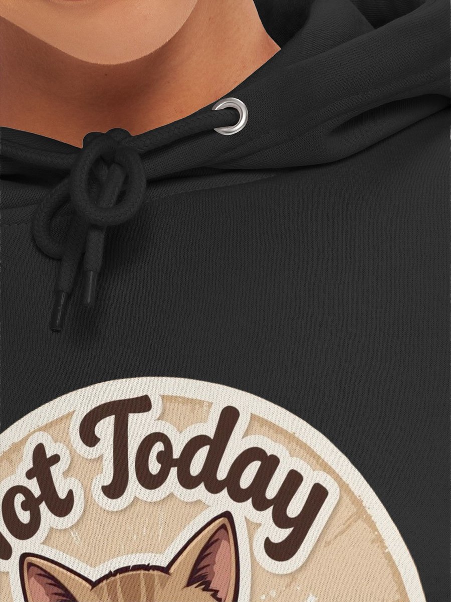 Sassy Cat 'Not Today Satan' Premium Hoodie product image (49)