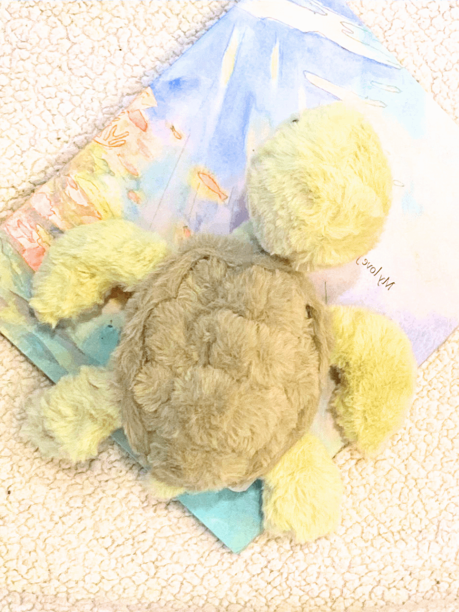 Decorative Turtle* product image (2)
