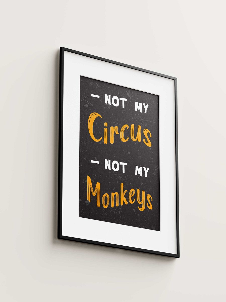 Not my circus, not my monkeys product image (1)