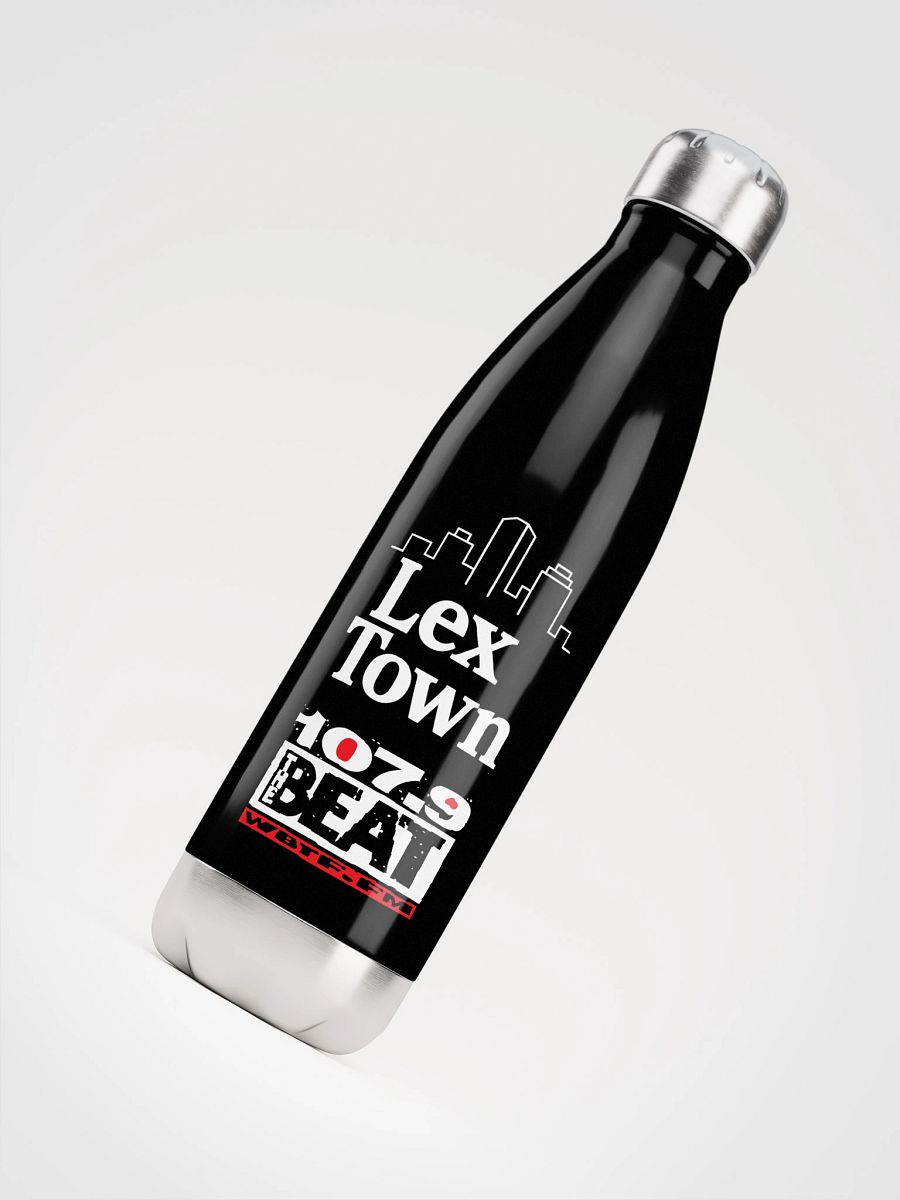 Lex Town Stainless Steel Water Bottle product image (4)