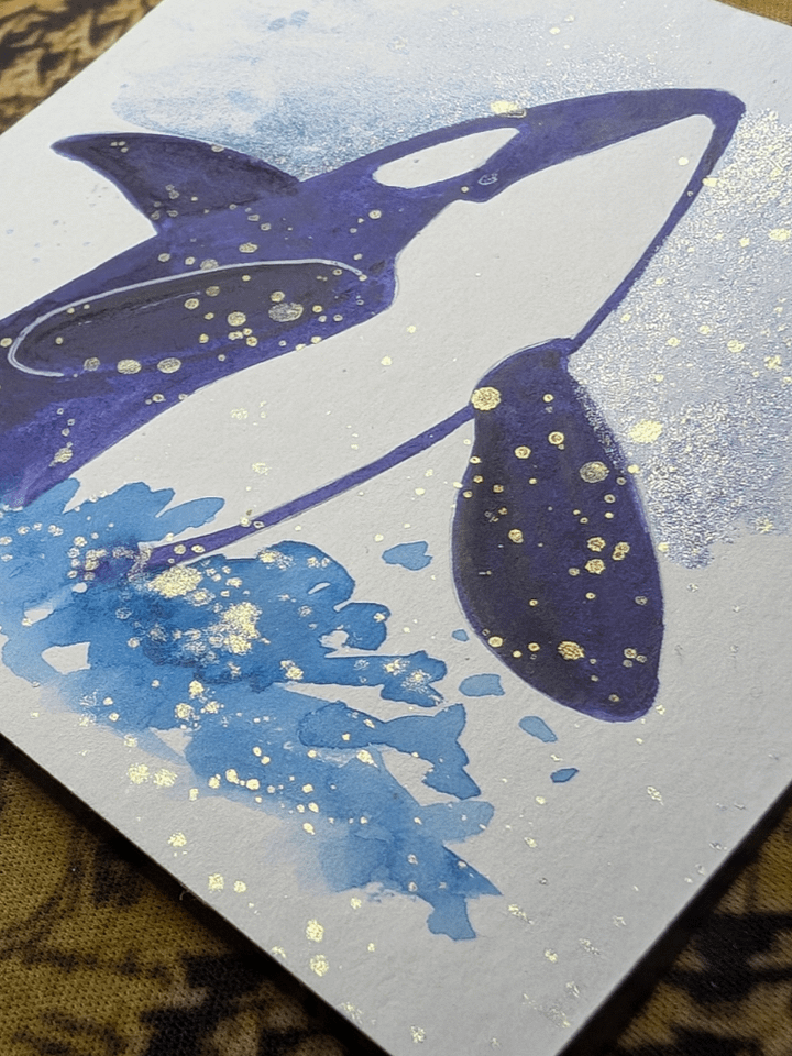 Orca Splash product image (2)