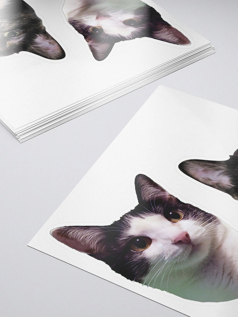 Iris & Roxy Sticker Set product image (5)