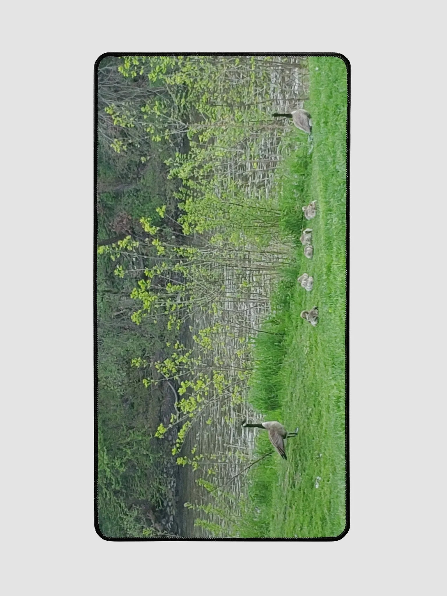 Canadian Goose Family Desk Mat product image (2)