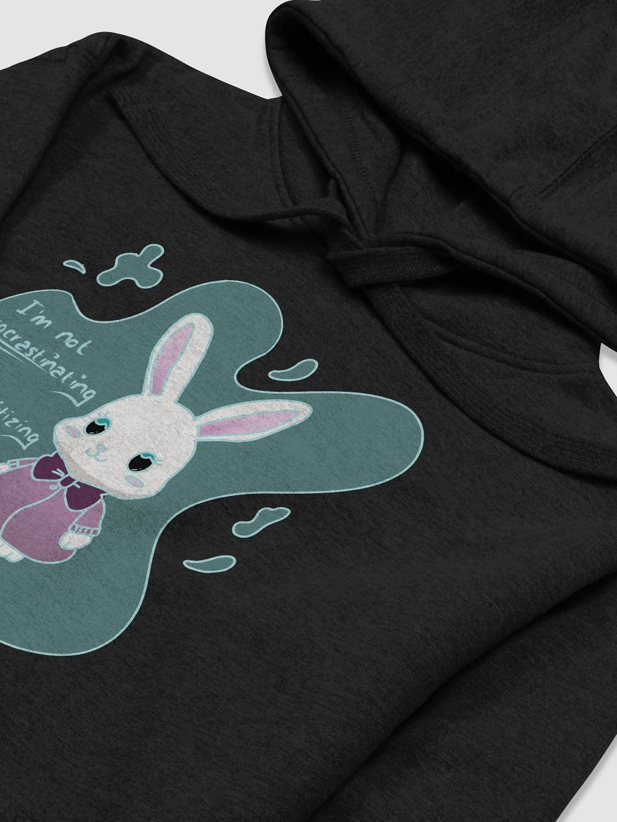 Chaos Priority Bunny Hoodie product image (53)