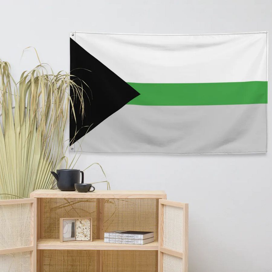 Demiromantic Flag product image (7)