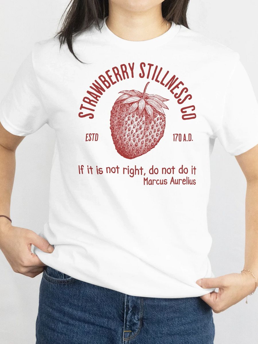 STOIC STRAWBERRY TSHIRT product image (2)