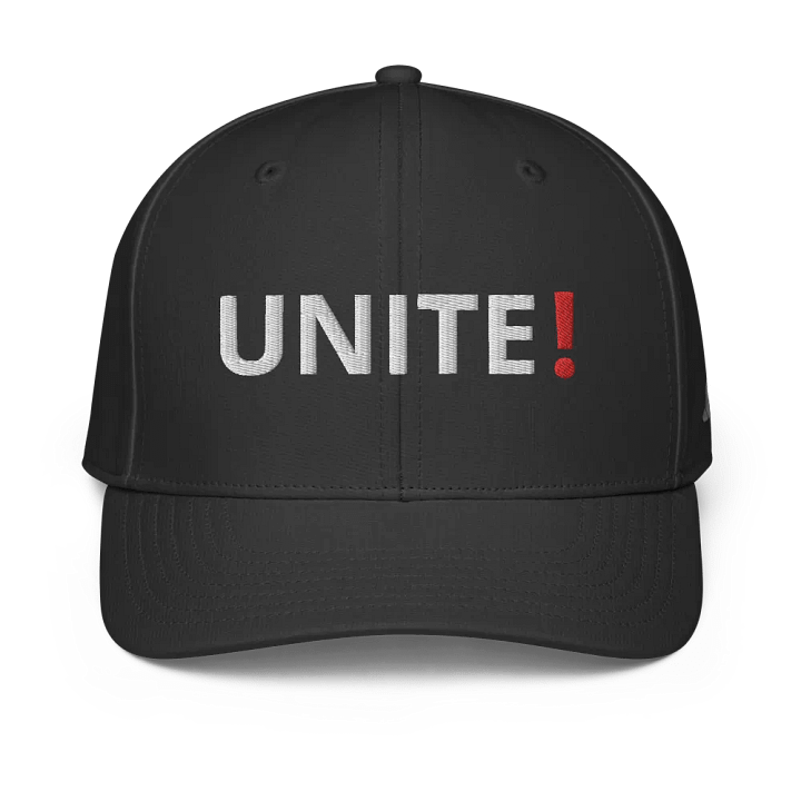 Unite - Embroidered ADIDAS Dad Hat product image (1)