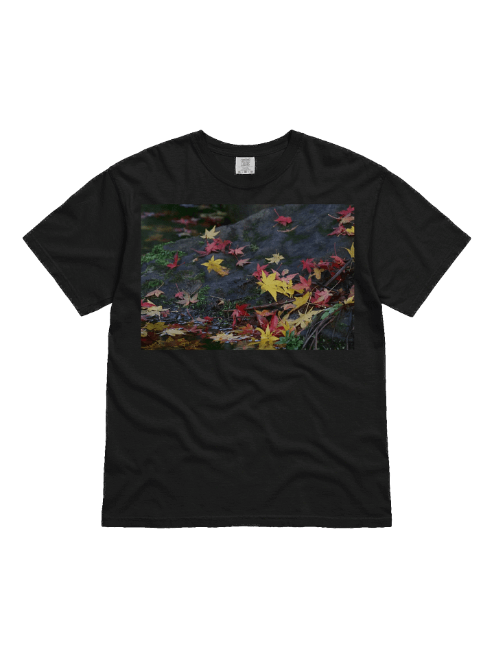 Love Joy Bestseller Autumn Beauty T-Shirt product image (1)