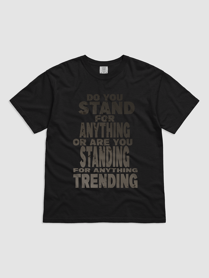 Stand For Something Heavyweight Tee product image (6)