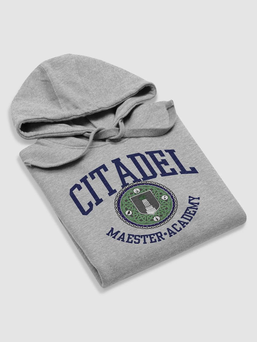 Citadel Maester Academy Hoodie product image (14)