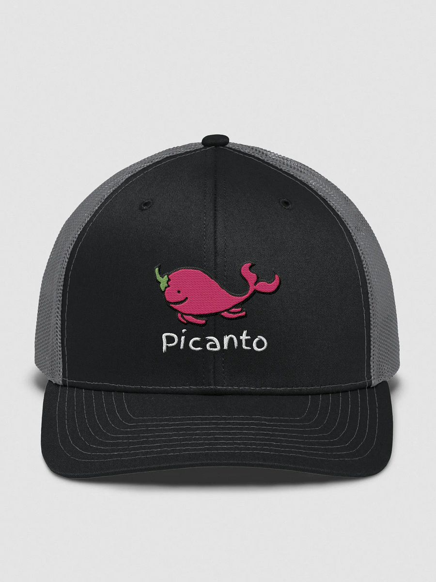 W Picanto Hat product image (1)