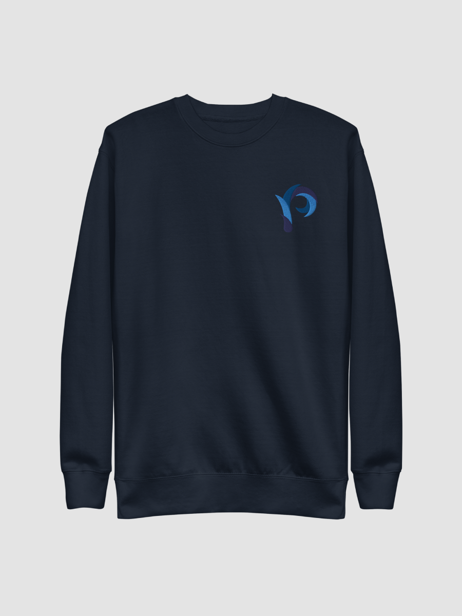 PP Sweater - Slim // Embroidered product image (2)