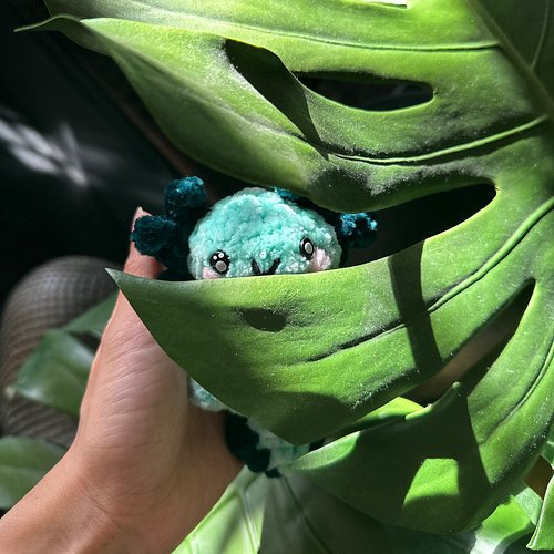 “Just a baby” energy. 🩵

#dailycrochet #amigurumi #axolotl