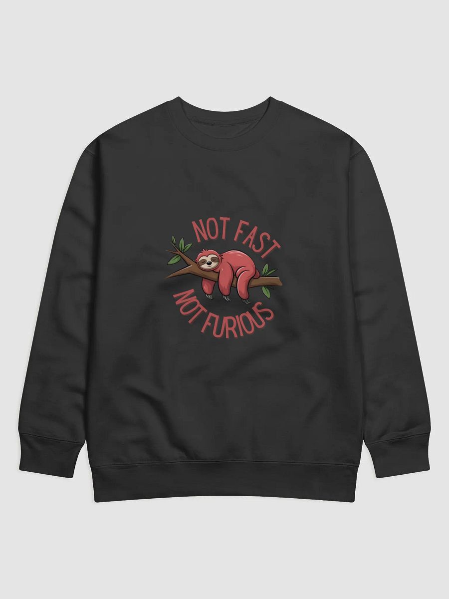 Not Fast Not Furious Sloth Hoodie product image (1)