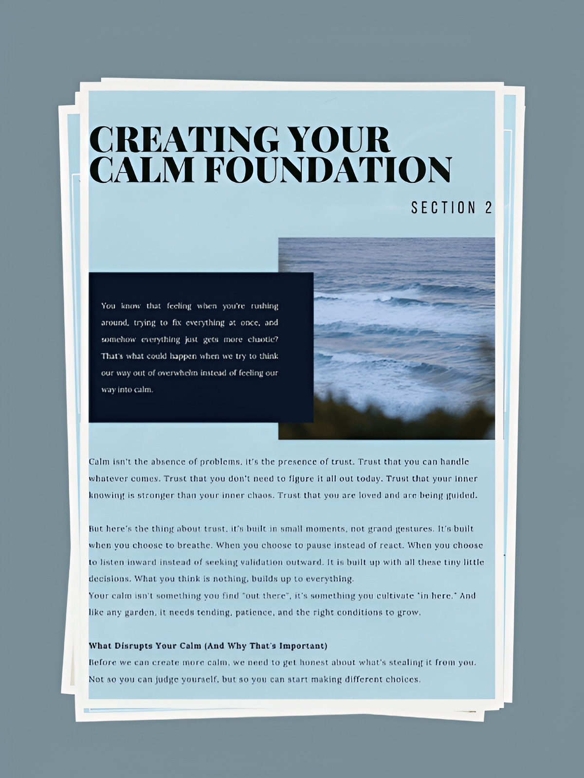 From Overwhelm to Calm: A Workbook for Trusting Your Way Forward product image (4)