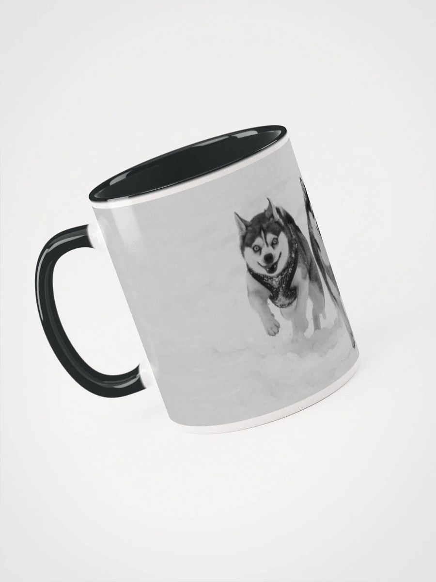 Klee Kai brother and sister running on the snow - B&W product image (2)