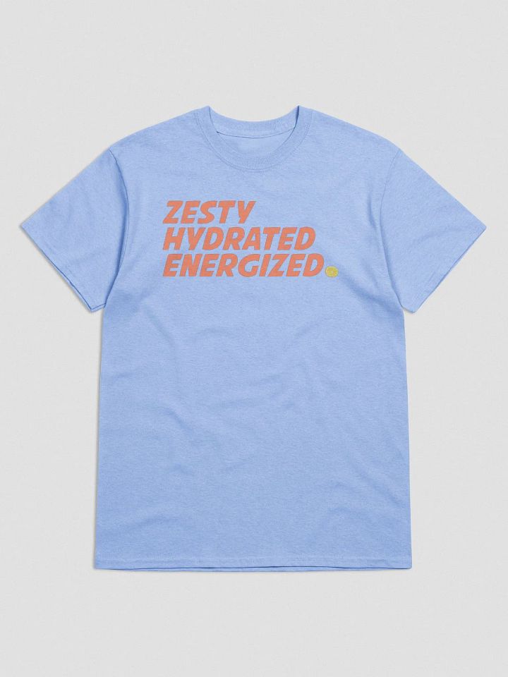 ZESTY HYDRATED ENERGIZED product image (1)
