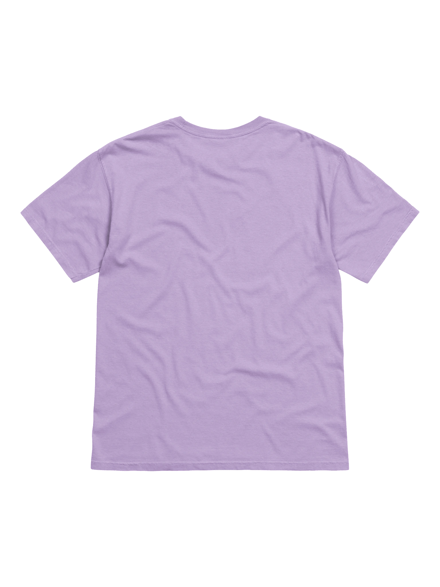 A Total Snub T-Shirt(Embroidered) of a Boston Terrier(Brindle & White) product image (42)