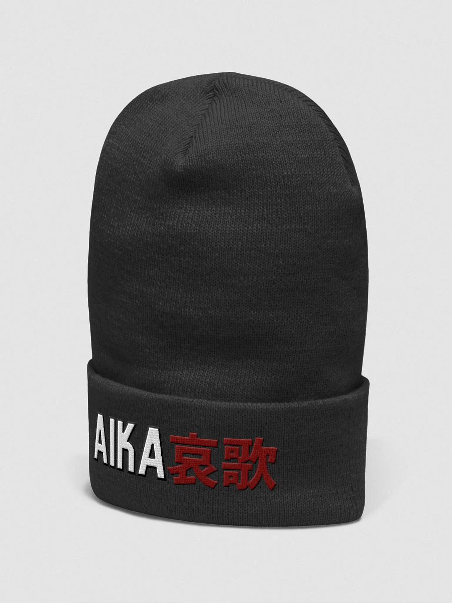 Cuffed Beanie product image (6)