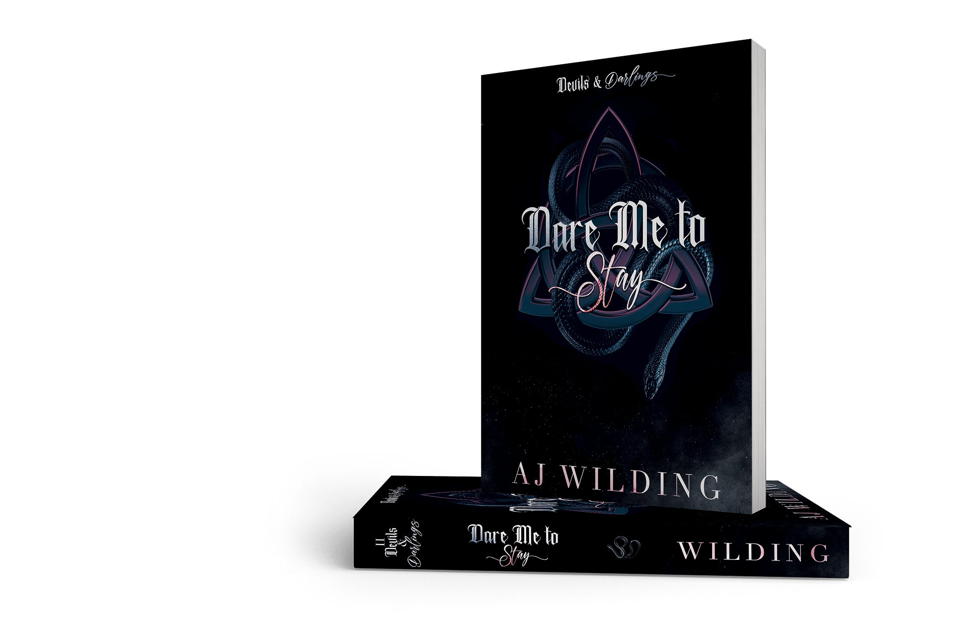 *Pre-Order* Dare Me to Stay- Signed paperback discreet edition product image (2)