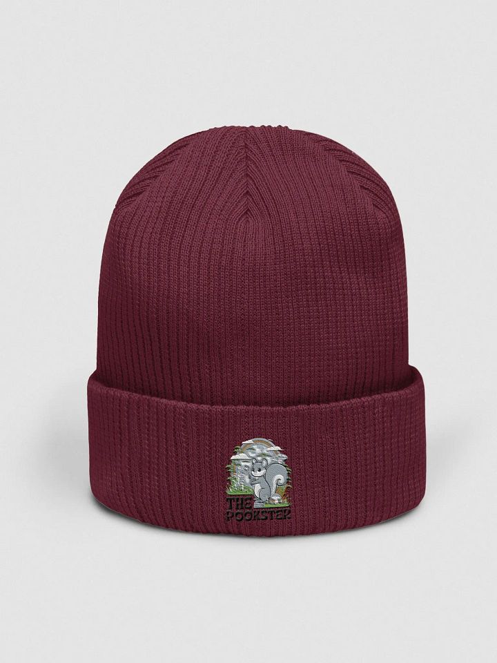 Organic Cotton Embroidered Beanie: Pooky and his wand product image (1)
