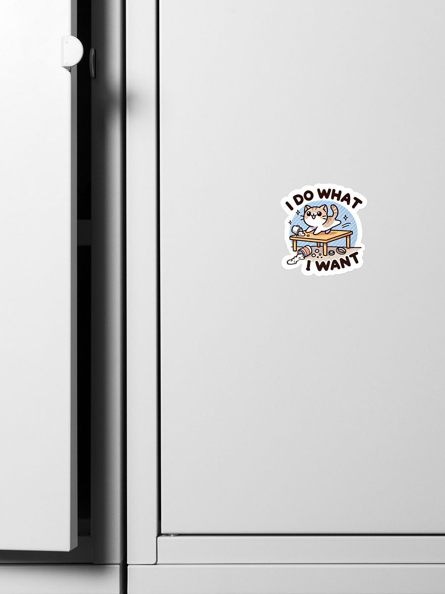 I do what I want magnet product image (4)