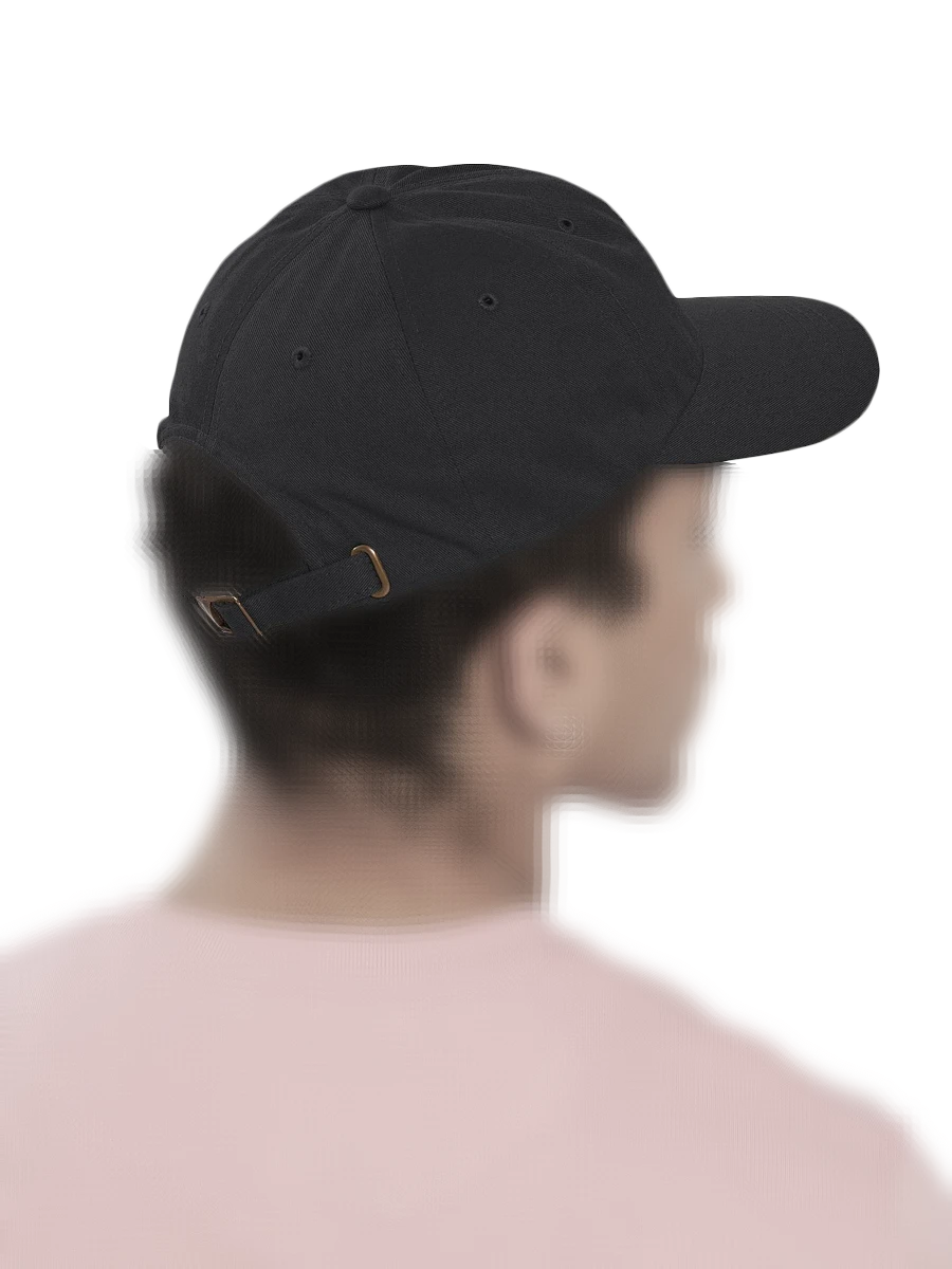 Toxic Dad Hat product image (2)