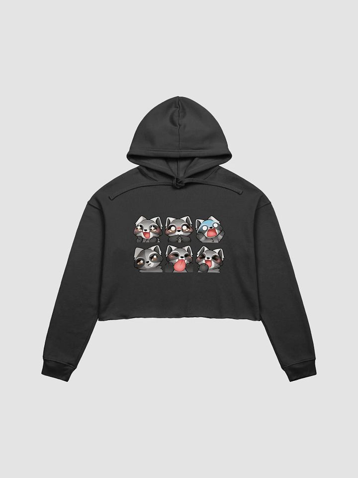 Raccoon emote cropped fleece hoodie product image (1)