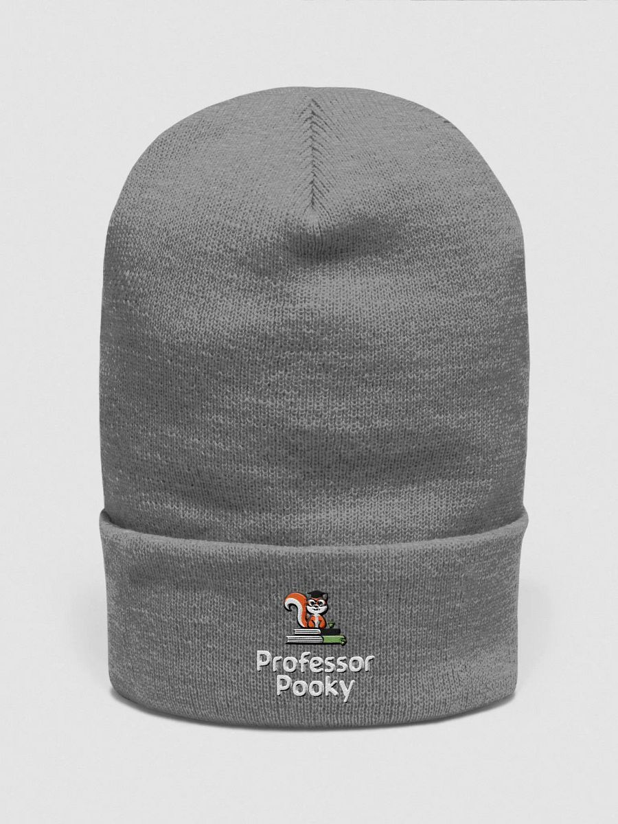 Professor Pooky's Academic Beanie product image (1)