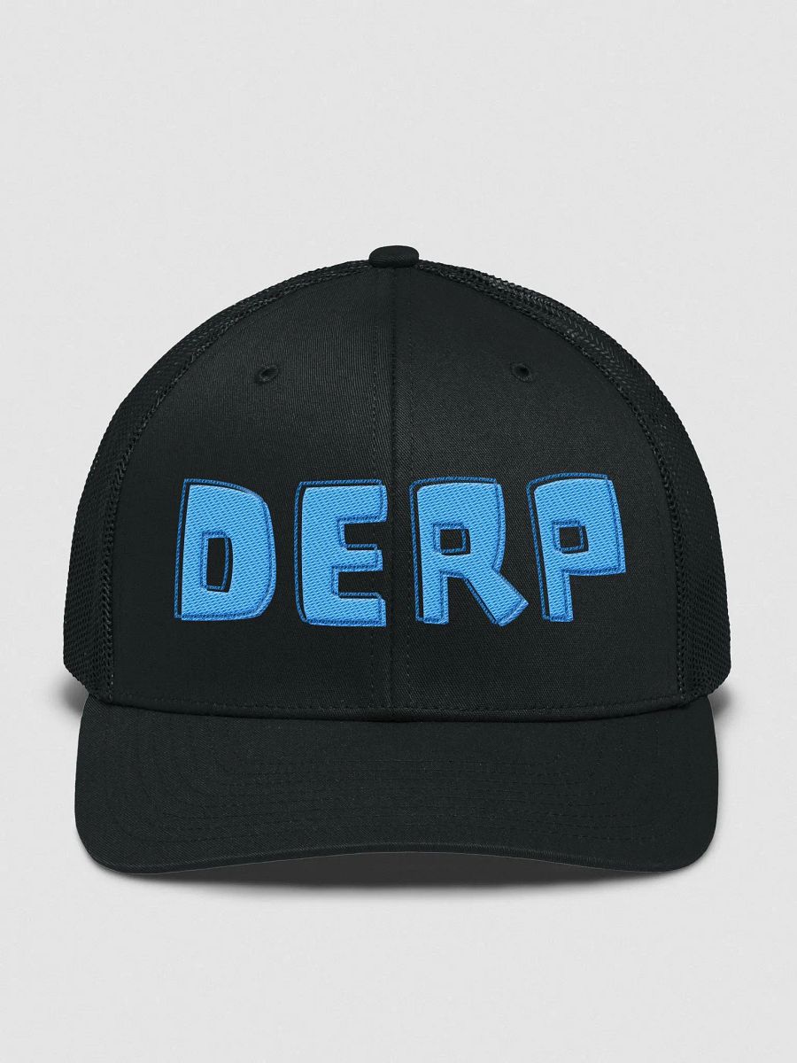 Derp Hat product image (1)