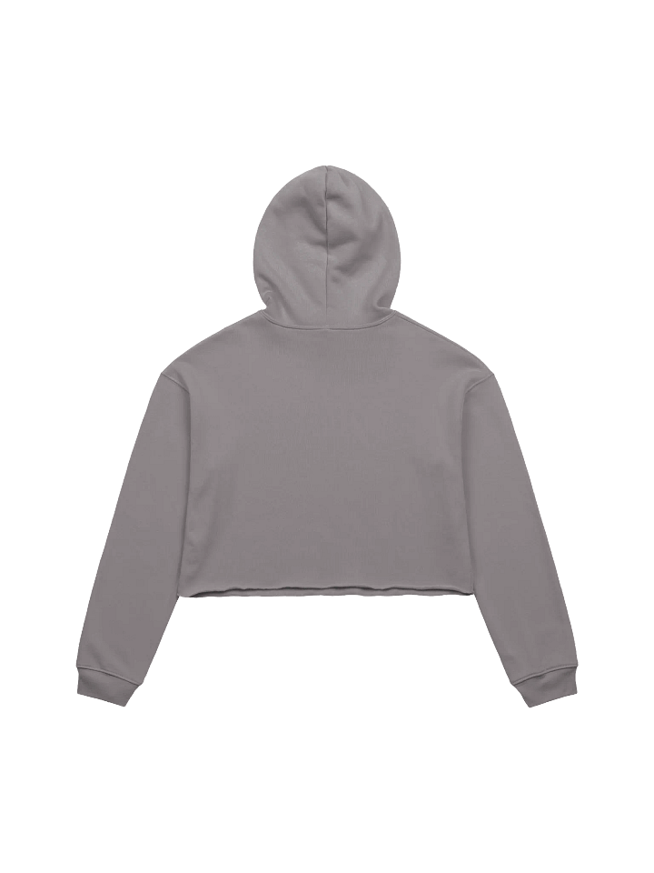 JonSandman Crop Hoodie product image (2)