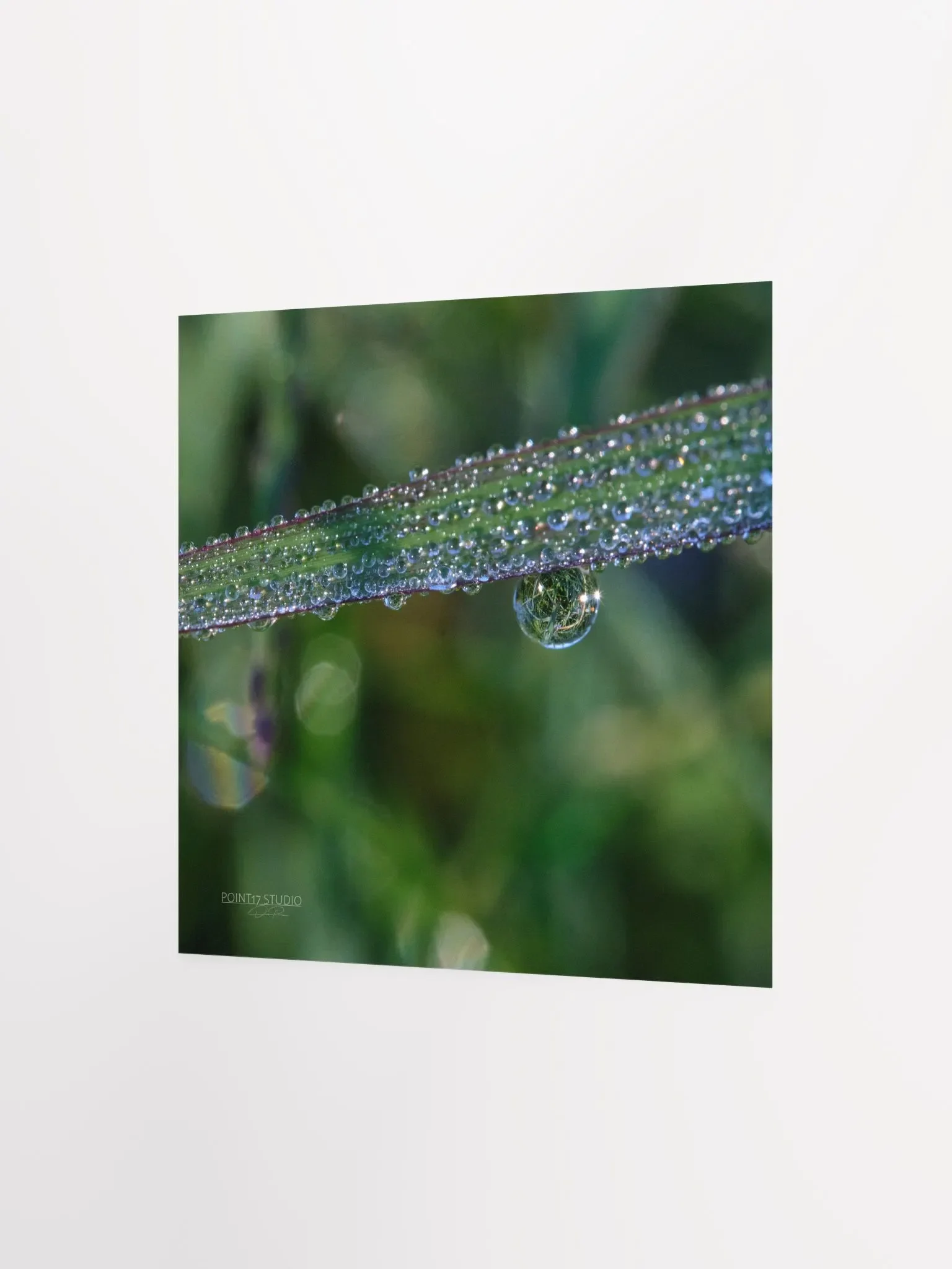 Dew Gems #3 - Print product image (4)
