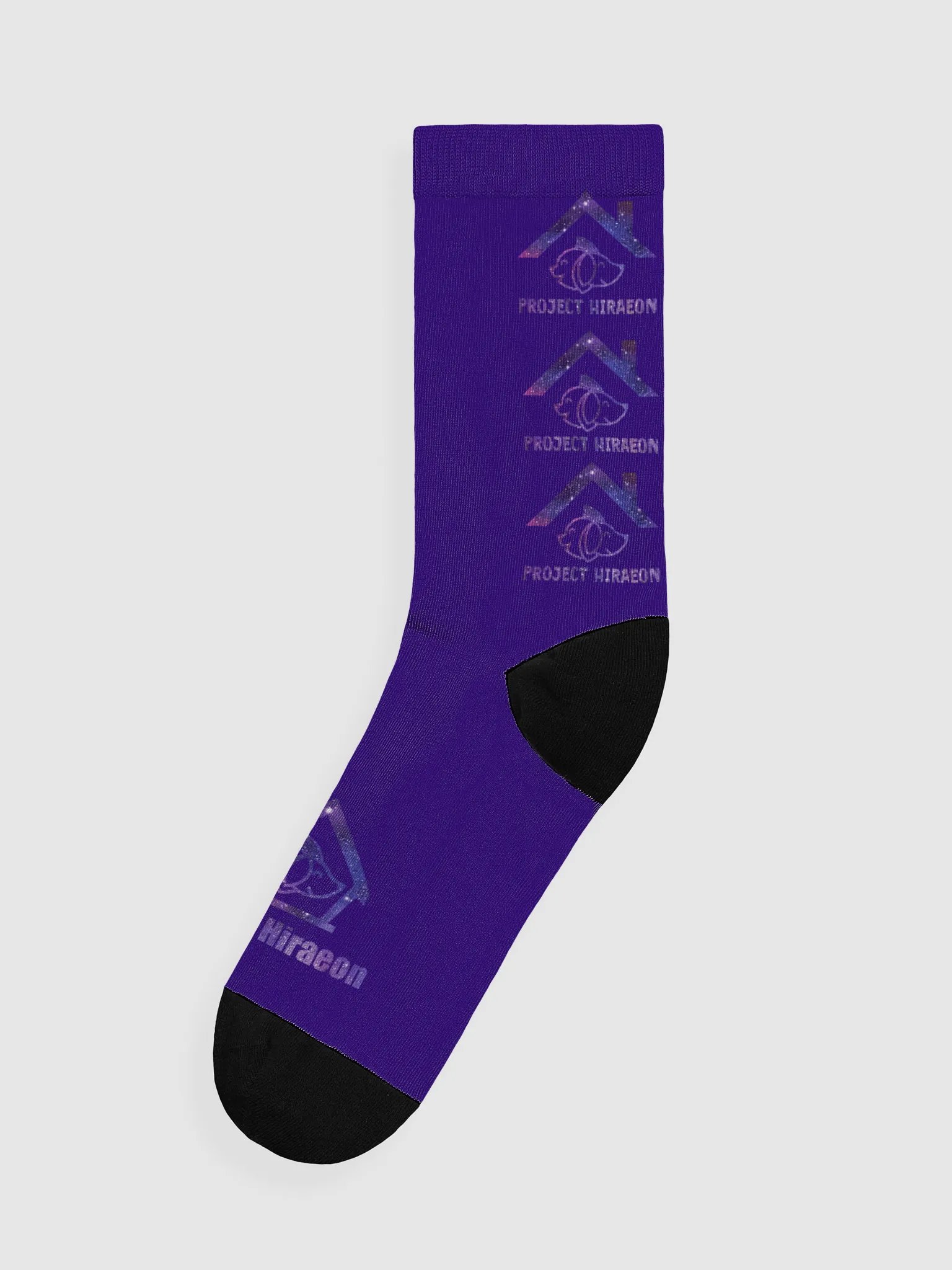 PROJECT HIRAEON SOCKS product image (1)
