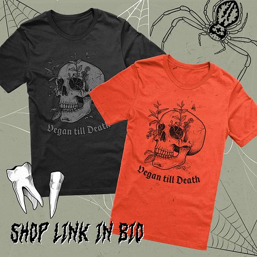 Halloween’s around the corner! 🎃👻🦇I got some spooky (but mostly very cute) stuff on my web store! Link in bio 🕸️