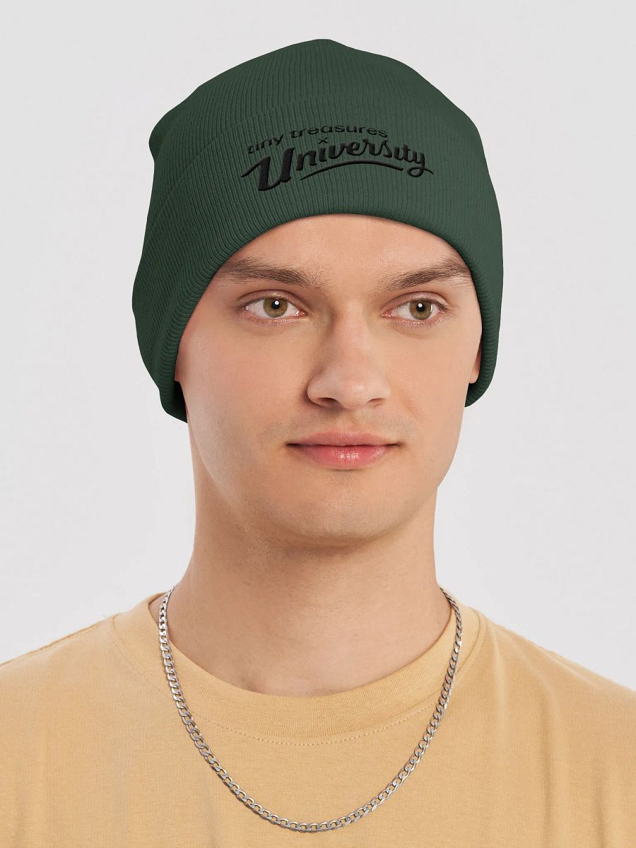 University Beanie 2 product image (22)