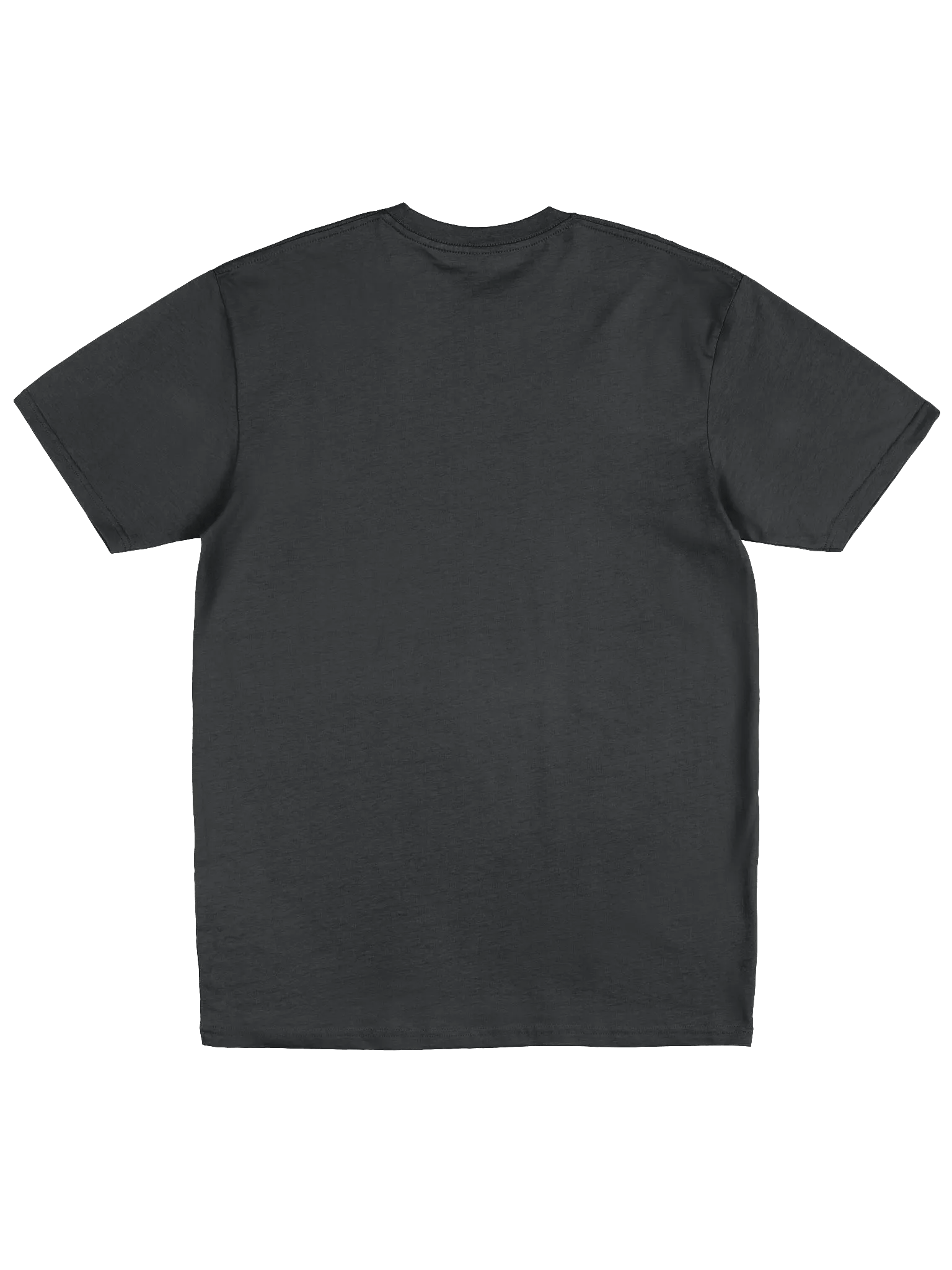 Unisex Premium Embroidered T-Shirt Champions Quest product image (7)