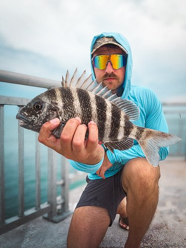 Some more Florida multispecies fishing! Both species old and new. Time to get on some Jersey striped bass though. 

#floridaf...