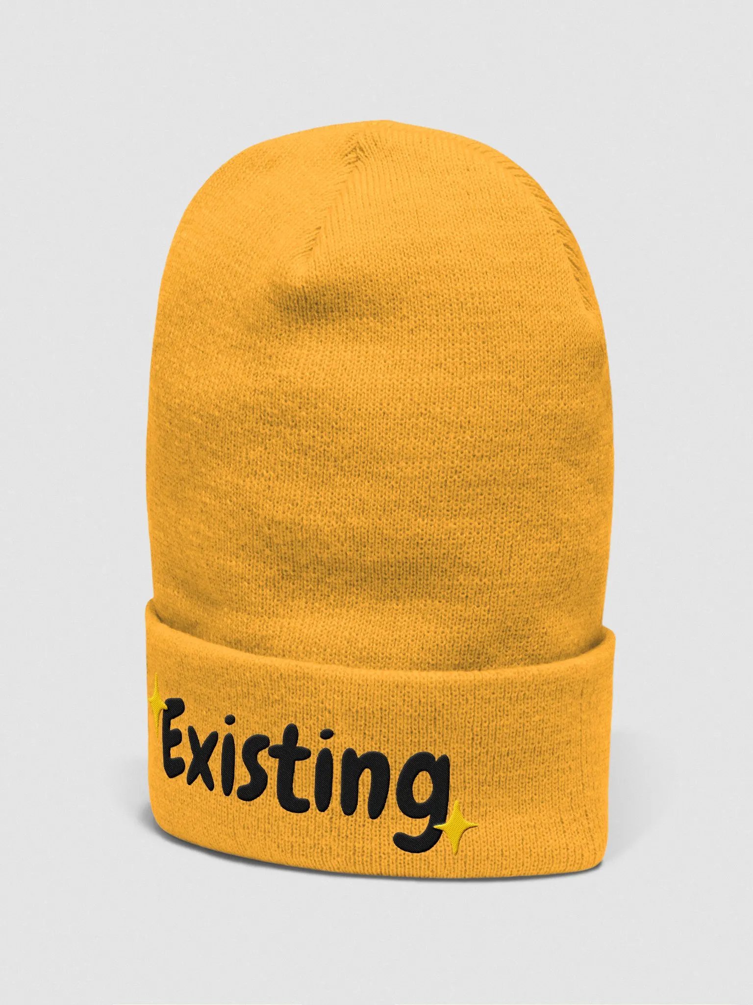 Existing Beanie | Black Lettering product image (2)